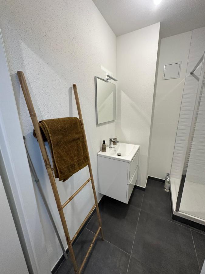 Appartement Atypique Proche Gare/ Dans L'Hyper-Centre Spacieux Pour 6P Au Coeur De มูลูส ภายนอก รูปภาพ